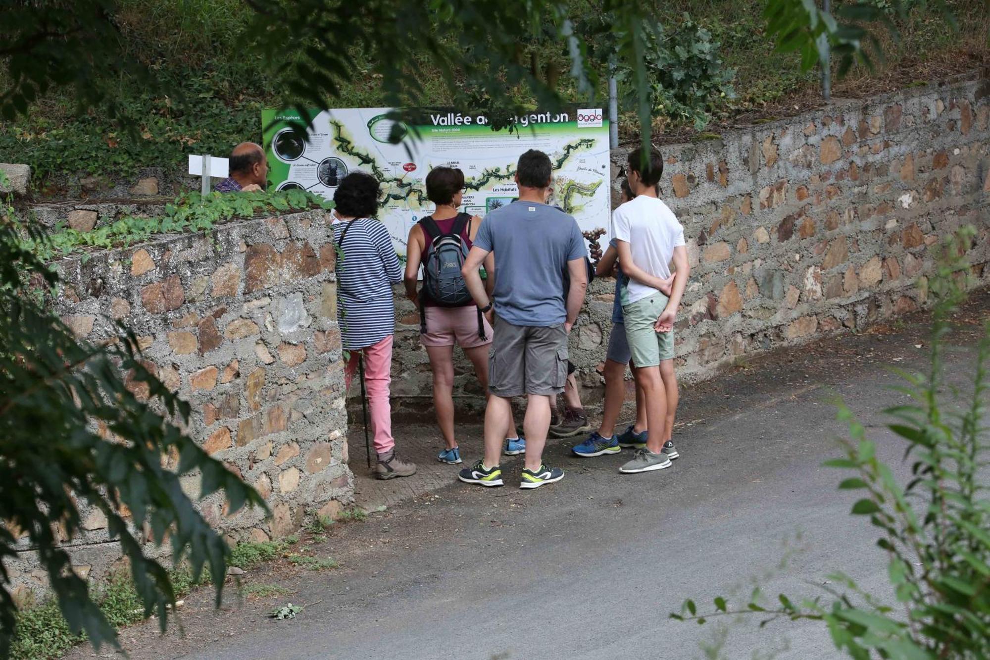 Au D'hautibus Campsite *